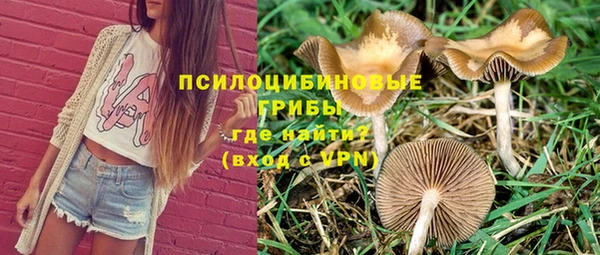 ПСИЛОЦИБИНОВЫЕ ГРИБЫ Верея