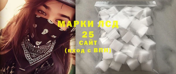 дживик Верхний Тагил
