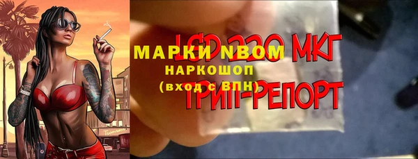 дживик Верхний Тагил