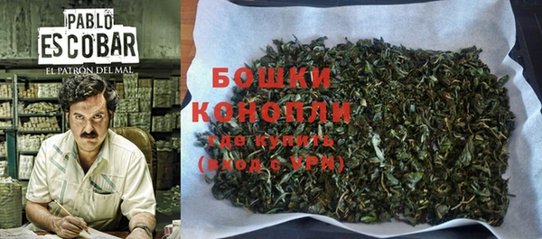 ПСИЛОЦИБИНОВЫЕ ГРИБЫ Верея