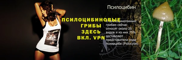 ПСИЛОЦИБИНОВЫЕ ГРИБЫ Верея
