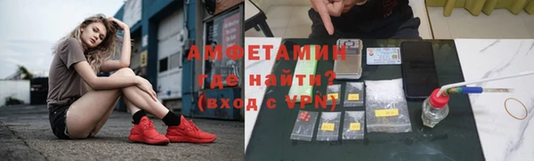 дживик Верхний Тагил