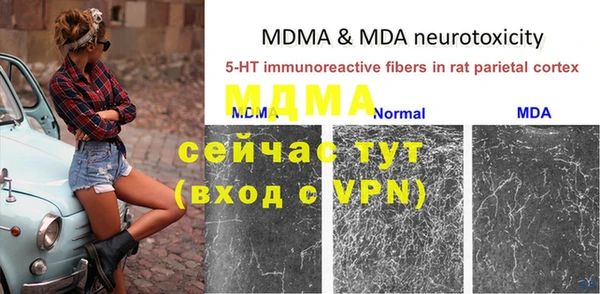 ПСИЛОЦИБИНОВЫЕ ГРИБЫ Верея