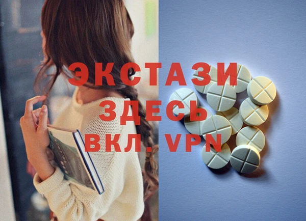 дживик Верхний Тагил