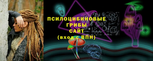 ПСИЛОЦИБИНОВЫЕ ГРИБЫ Верея