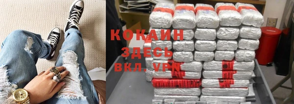 ПСИЛОЦИБИНОВЫЕ ГРИБЫ Верея