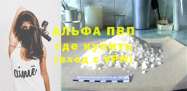 дживик Верхний Тагил