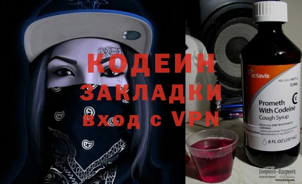 ПСИЛОЦИБИНОВЫЕ ГРИБЫ Верея