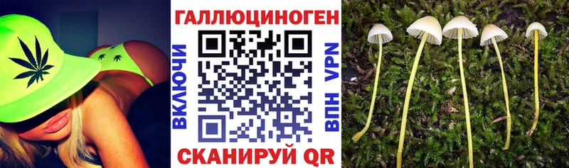 Купить закладки  Белово  Галлюциногенные грибы прущие грибы 